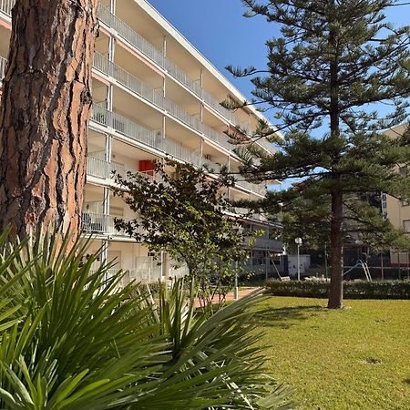 Apartamentos Hesperia Palmyra 萨洛 外观 照片