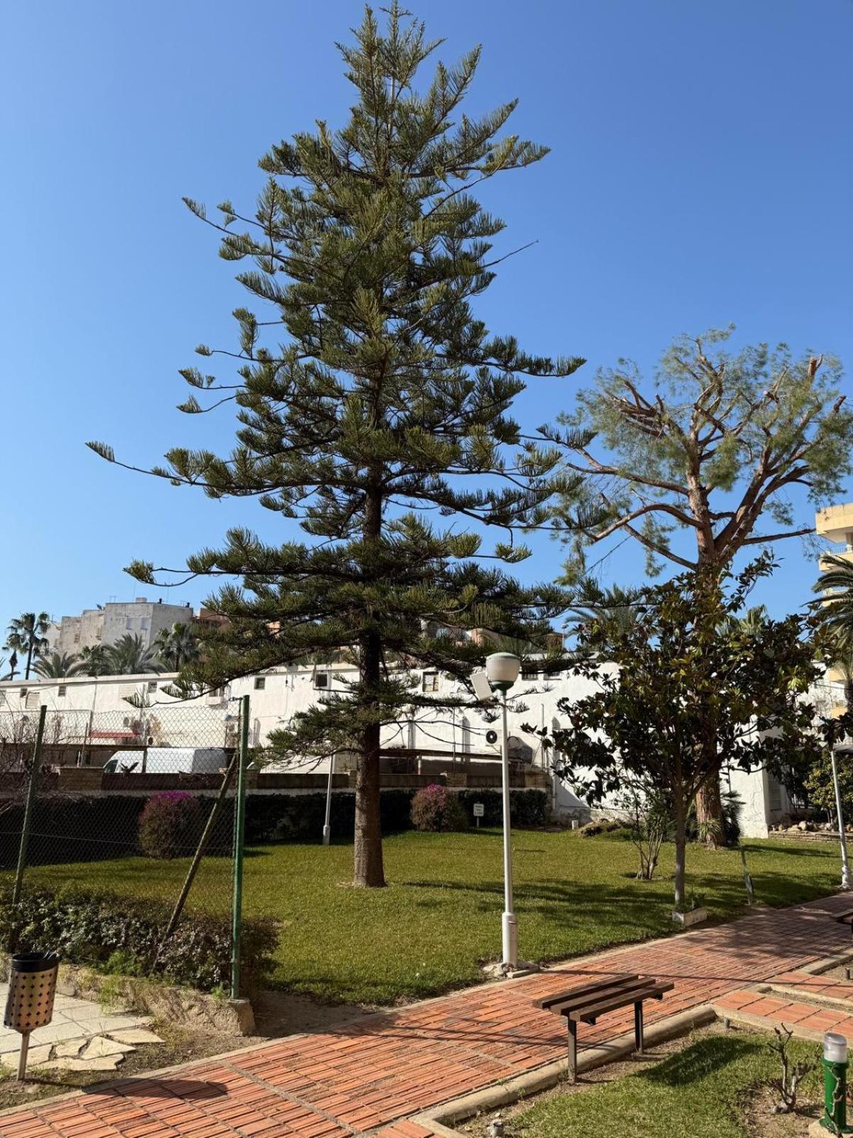 Apartamentos Hesperia Palmyra 萨洛 外观 照片