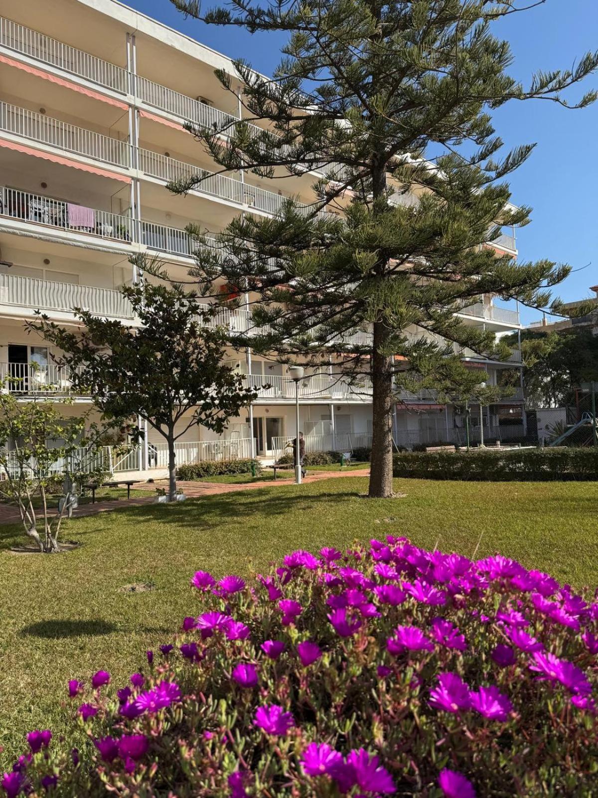 Apartamentos Hesperia Palmyra 萨洛 外观 照片